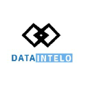 DataIntelo logo